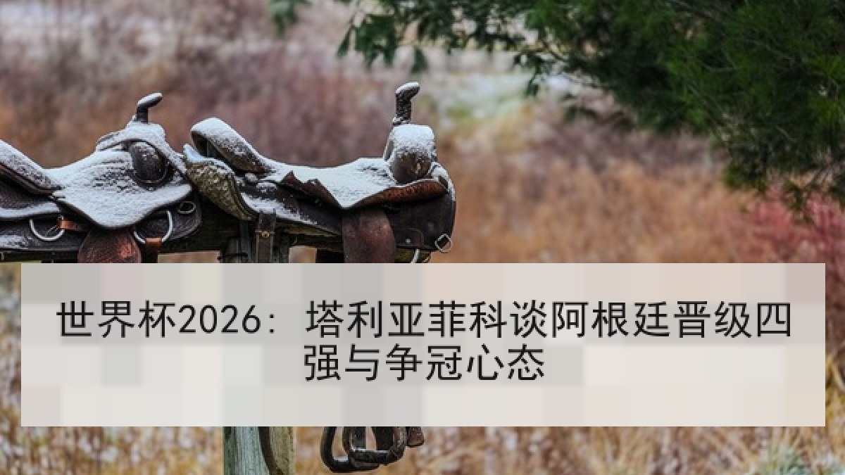 世界杯2026: 塔利亚菲科谈阿根廷晋级四强与争冠心态