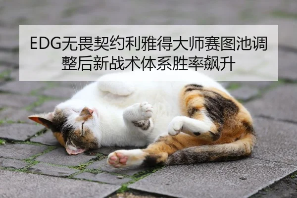 wu-wei-qi-yue-li-ya-de-da-shi-sai-tu-chi-tiao-zheng-hou-xin-zhan-shu-ti-xi-sheng-lv-biao-sheng-2-629.jpg